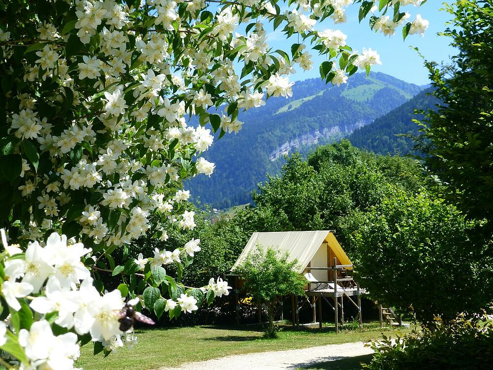Campsite Sites et Paysages De Martinière St Pierre de Chartreuse Auvergne-Rhône-Alpes 10
